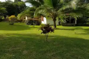 Phanom Bencha Mountain Resort, Краби
