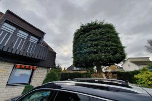 Business Apartments Ost, Ратинген