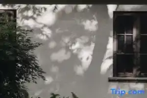Hangzhou Sisan 1934 Hotel, Ханчжоу