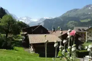 Wengens B&B, Венген