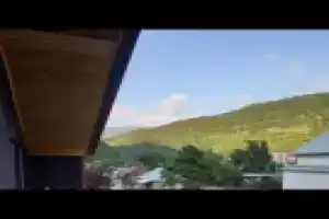 ნინას სახლი, Боржоми