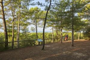 Appartement Saint-Jean-de-Monts, 3 pièces, 4 personnes - FR-1-323-97, Сен-Жан-де-Мон