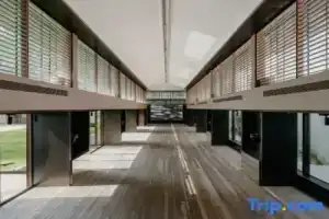 Shangying Chao, Шанхай