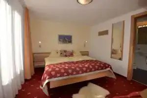 Aktiv Hotel & Spa Hannigalp, Грэхен