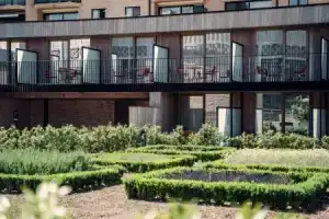 Casino Hotel, Коксид