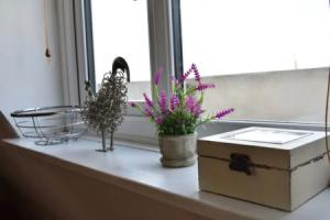1 Bedroom Apartment Centrally Located in Brighton, Брайтон