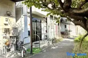 Lufa Yamate, Иокогама