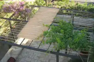 Guest House Ljubiša, Свети-Стефан