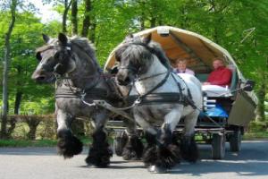 Ferienwohnungen Wiesengrund, Моншау