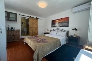 Stephany s Skyline Studio, Парикия
