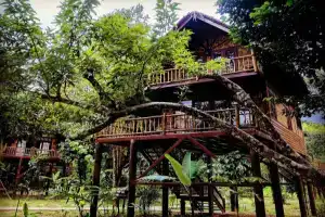 Our Jungle Camp - Eco Resort Sha Certified, Кхао Сок