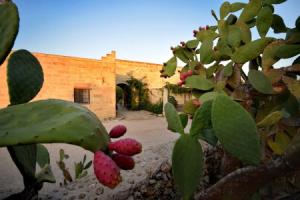 Masseria Le Pezzate, Малье