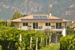 Weingut am Platzl, Piazzetta