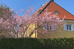 Lion Homestay Munich, Мюнхен