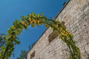 Casina Rossi, Кастеллана-Гротте