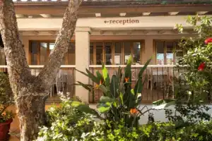 Hotel Donatella, Позада