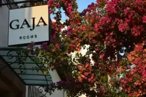 Gaja Ayvalik, Айвалык