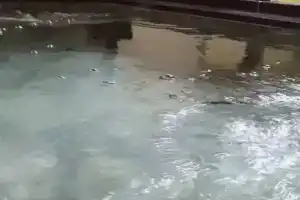 Taishokan, Йоккаити