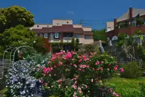 Отель «La Mirador», Камогава