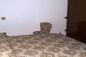 L essenziale, Норча