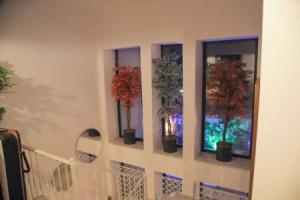 Wind of Alacati +12, Алачати