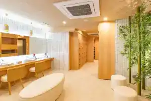 Daiwa Roynet Hotel Nagoya Nayabashi, Нагоя