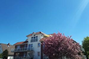 Ferienhaus Auf der Düne, Куксхафен