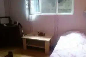 Guest House Tamuna Borjomi, Боржоми