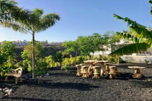 Exclusive Villa on Tenerife with Infinity Pool, Zen Garden, Адехе