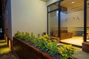 Hotel «Adora», Тбилиси