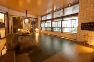 Отель «Dormy Inn Gifu Ekimae», Гифу