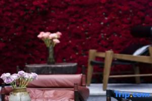 Bamboo Pavilion·Grace: A Panoramic Sky Garden Art Homestay with Ancient City and Snow Mountain Views, Лицзян