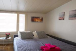 Araucarias apartament, Котка