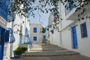 Maison Dedine - Adults Only, Карфаген