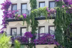 Golden Age Crystal Bodrum - All inclusive, Гюмюшлюк