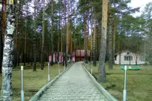 База отдыха «Сосновый Бор», Билимбай