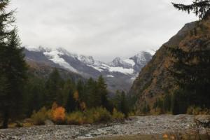 Hotel Paradisia, Конье