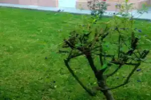 Apartment With 2 Bedrooms in Salou, With Pool Access, Салоу
