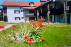 Chrysantihof Zwiesel - Apartment 231, Цвизель