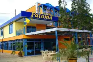 Paloma Hotel, Солнечный Берег