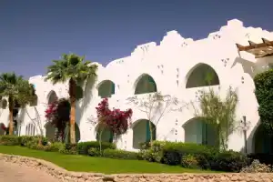 Domina Oasis Hotel & Resort, Шарм-эль-Шейх