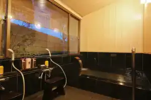 Отель «Arima Hot Spring Ryokan Kotori», Кобе
