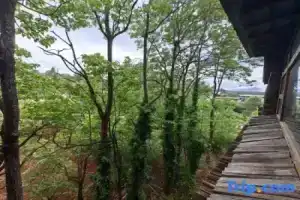 Lijiang junayuanzhu Homestay, Лицзян
