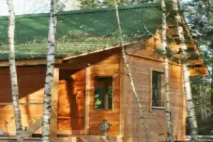 Уютный дом на природе в лесу