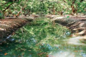 Отель «Warakorn Baansuan», Amphawa