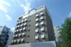 7 Days Hotel Plus, Коти