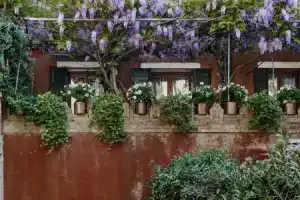 Отель «Locanda Fiorita», Венеция