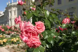 Best Western Hotel Favorit, Людвигсбург