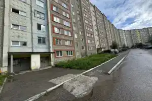 Барбарис на улице Юбилейная 141, Березники