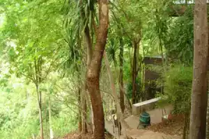 Гостевой дом «Sam's Jungle», Бан-Каенг-Рабоет